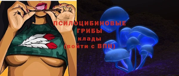 дурь Балахна