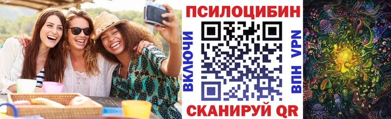 Псилоцибиновые грибы прущие грибы  наркотики  Спас-Клепики 